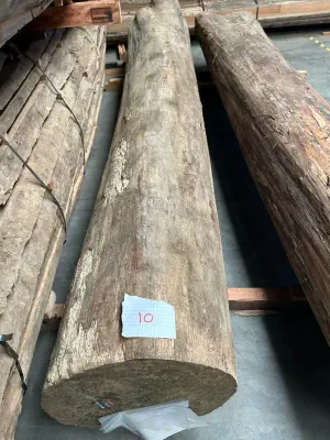 A photograph of a log