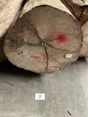 A photograph of a log