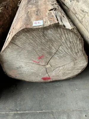 A photograph of a log