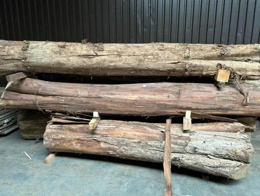 A photograph of a log