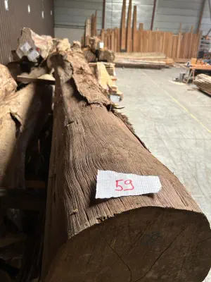 A photograph of a log