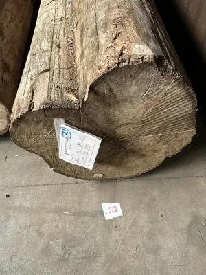 A photograph of a log