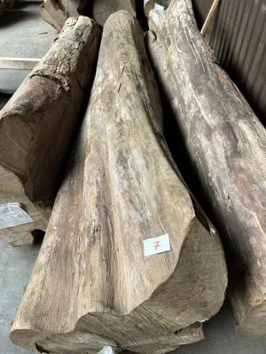 A photograph of a log