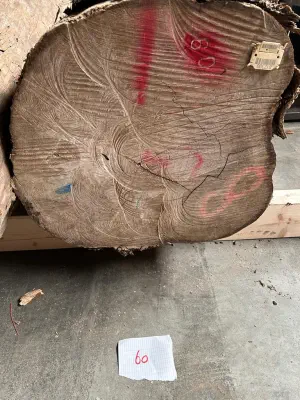 A photograph of a log