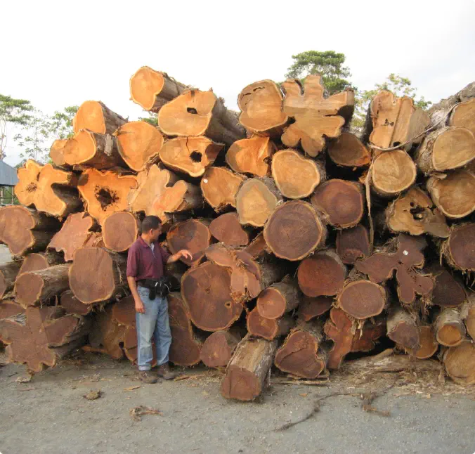 A man standing besides a large pile of logs