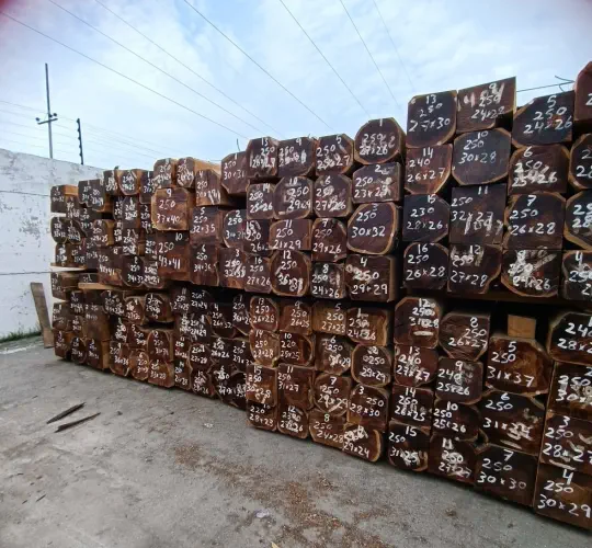 A photograph of stacks of rough sawn squares laying outside
