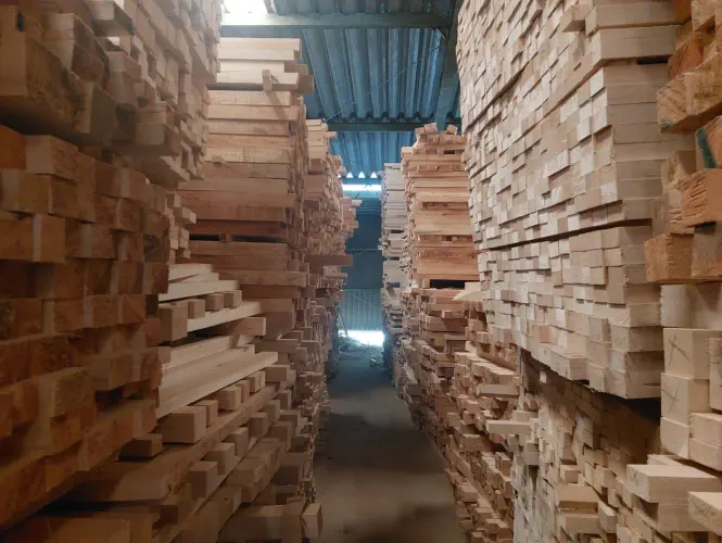 A photograph of stacks of balsa sawn tropical timber in a storage room